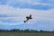 Third AirFestival at Chaika airfield. The plane is rapidly takes off in high and leaving behind it a long plume of smoke