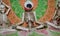 Third eye, Yoga skeleton poses, meditation, orange/green tapestry,