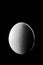 Third Quarter Moon Phase show by Egg in night with shadow Planet