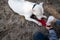 Thirsty dog drinking water from the plastic bottle in owner hands on beach, close up photo.