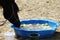 Thirsty domestic horse drink fresh clear water on the ground