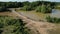 Thirsty New Forest ponies by the pond aerial view