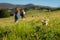 Thistle in the Foreground As Girls Walk in the Hills in Scotland on a Sunny Day