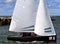 Thistle sailboat race