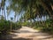 Thoddoo Alif Alif Atoll, Maldives - February 12, 2017: dusty road to the beach surrounded by palm trees under a sunny blue sky