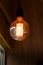 Thomas Edison Bulb