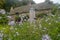 Thomas Hardy cottage near Higher Bockhampton in Dorset