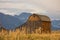 Thomas Murphy Barn Mormon Row In Grand Teton National Park