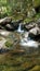 Thompson Falls Trail, White Mountain National Forest