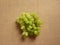 Thompson Seedless