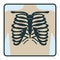 Thoracic cage bone, chest x-ray concept icon, roentgen human body image isolated on white, flat vector illustration. Skeleton part