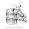 Thoracic vertebrae anatomy vintage illustration clip art isolate