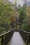 Thoreau Bridge in Hidden Valley Preserve