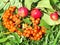 Thornhill rowanberry and apples 2017