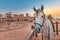 Thoroughbred Arab horses near an ancient village in the desert Sands