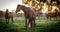 Thoroughbred broodmare guarding her newborn foal