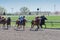 Thoroughbred horse racing at Keeneland race track at spring, Lexington, Kentucky