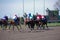 Thoroughbred horse racing at Keeneland race track at spring, Lexington, Kentucky