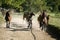 Thoroughbred mares and foals runs home together outdoors