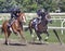 Thoroughbred Workouts Oklahoma Track Saratoga