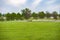 Thoroughbreds grazing on a Kentucky horse farm