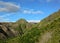 Thorsmork valley with green vegetation of moss, fern, birchwood under blue sky in sunny summer day, Iceland