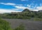 Thorsmork valley with green vegetation of moss, fern, birchwood under blue sky in sunny summer day, Iceland