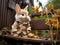 Thoughtful bunny on small bench mm lens photo