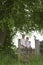 Thoughtful Couple Standing Across Field Gate