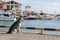 Thoughtful dog breed Husky sitting on the background of yachts and sailboats