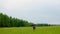 Thoughtful Female Farmer Walking On Field