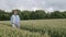 Thoughtful senior farmer in hat with glasses walks in wheat field in bright day