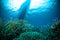 Thousand fish below boat bunaken sulawesi indonesia underwater