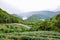 Thousand Island Lake surrounded by tea plantations and tropical forest, Taiwan, Asia. Moody landscape. Taiwanese nature. Travel