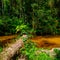 Thousand lingas river. Siem Reap. Cambodia