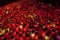 Thousands of Candles illuminating a cemetery during All Saint\'s Day