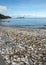 Thousands of empty shells of eaten oysters discarded on sea floor in Cancale,