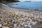 Thousands of empty shells of eaten oysters discarded on sea floor in Cancale, famous for oyster farms.  Brittany,