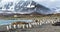 Thousands of King Penguins run from Kabaltic winds in St. Andrews Bay, South Georgia