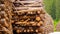 Thousands of logs stacked after the storm that destroyed the woods. Pile of wooden logs, big trunks of tall trees cut and stacked