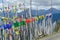 Thousands of prayer flags hoisted on the way of Chele la pass in Bhutan