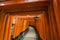 Thousands of torii gates, Fushimi Inari Shrine, Kyoto, Japan