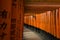 Thousands of torii gates, Fushimi Inari Shrine, Kyoto, Japan