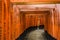 Thousands of torii gates, Fushimi Inari Shrine, Kyoto, Japan