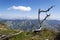 Thrawn branches with Leogang Mountains landscape on idyllic summer day in Alps