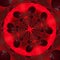 threatening delta coronavirus cv19 shape red and black