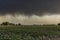 Threatening storm clouds, Pampas,