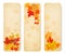 Three abstract autumn banners with color leaves.