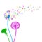 Three abstract colorful dandelion, flying seeds of dandelion - vector