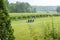 Three Adirondack or Muskoka Chairs Facing a Vineyard on an Overcast Day